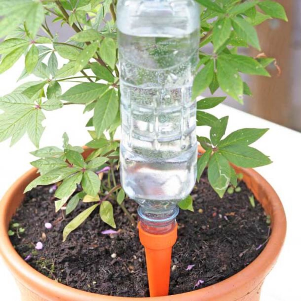 Self watering plant spikes head attachment to water bottle
